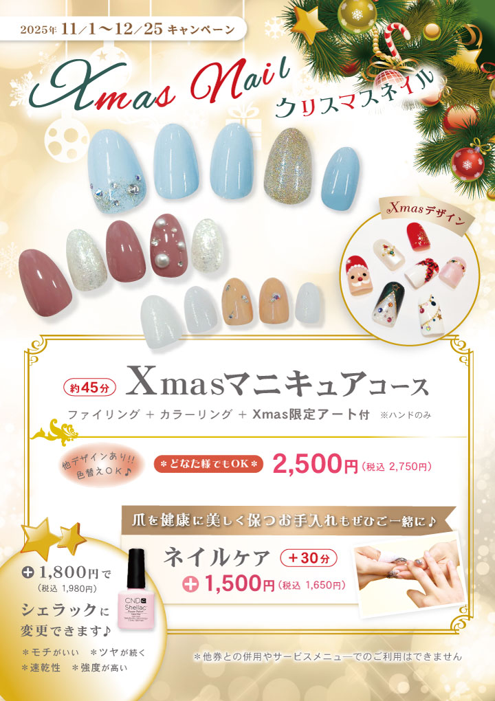 2025年11.12月キャンペーン