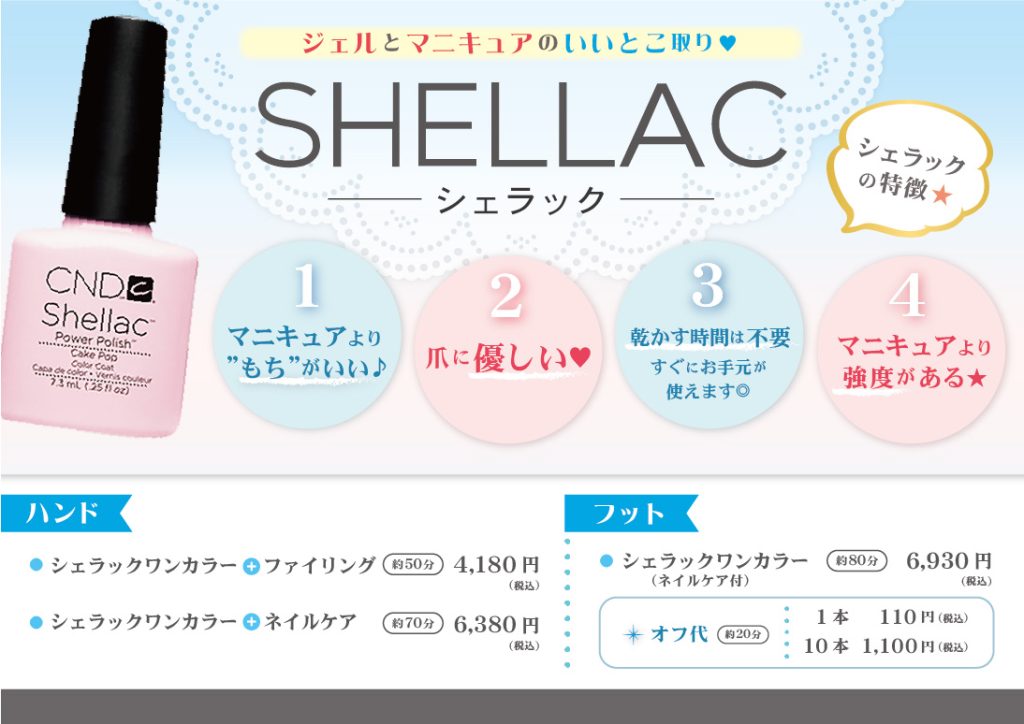 シェラックメニュー/プリンセスアッシュ